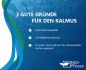 Mobile Preview: Kalmus weißbunt - Acorus gramineus Varieg.